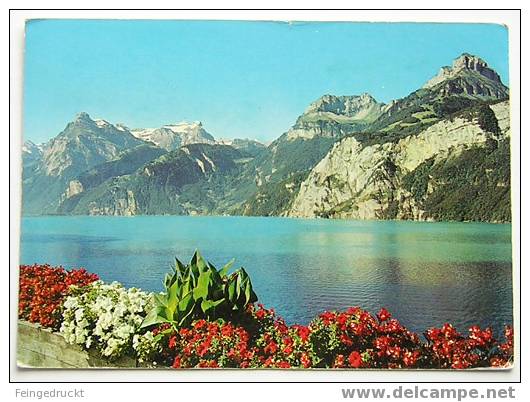 D 1990 - Am Vierwaldstättersee - CAk, 1970 Gelaufen - Wald