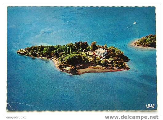 D 2008 - Isole Di Brissago (Lago Maggiore, Tessin) - CAk - Brissago