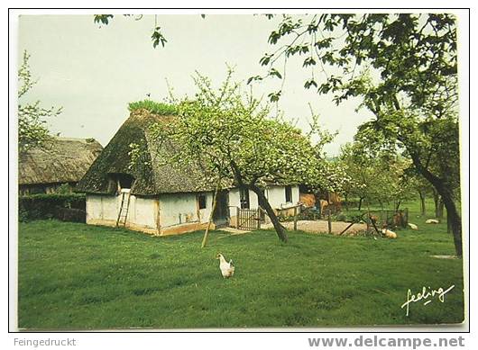 D 2022 - En Normandie (Bauernhof) - CAk, Nicht Gelaufen - Boerderijen