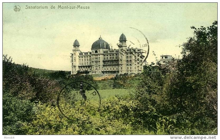 BELGIQUE - Sanatorium De Mont-sur-meuse - Yvoir