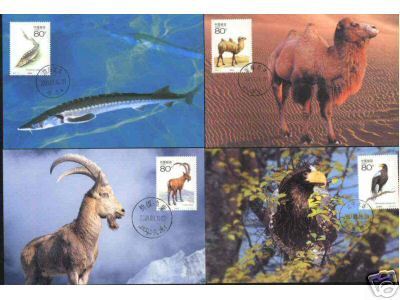 2001 CHINA RARE ANIMAL(II) MC-45 - Maximumkaarten