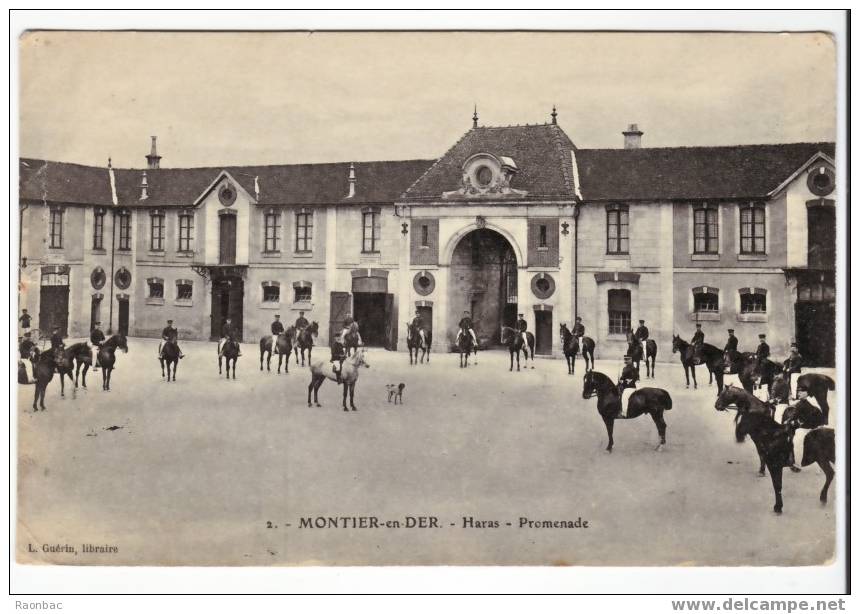 CPA---52---MONTIER-en-DER  ---HARAS---CHEVAUX---EQUITATION - Montier-en-Der