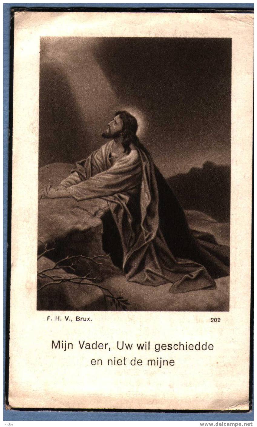 * Doodsprentje - Image Pieuse * Marie-Lousie Hollinck (° Boesingen Ieper Ypres 1871, + 1934) Jesus, Jezus - Images Religieuses