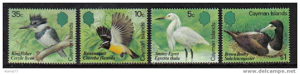 MA32 - CAYMAN , UCCELLI : SERIE  N. 543/46 *** - Cayman (Isole)