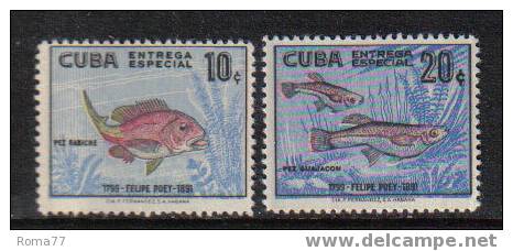 MA178 - CUBA , PESCI  : ESPRESSI  N. 24/25 *** - Express Delivery Stamps