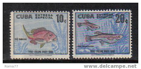 MA178 - CUBA , PESCI  : ESPRESSI  N. 24/25 *** - Eilpost