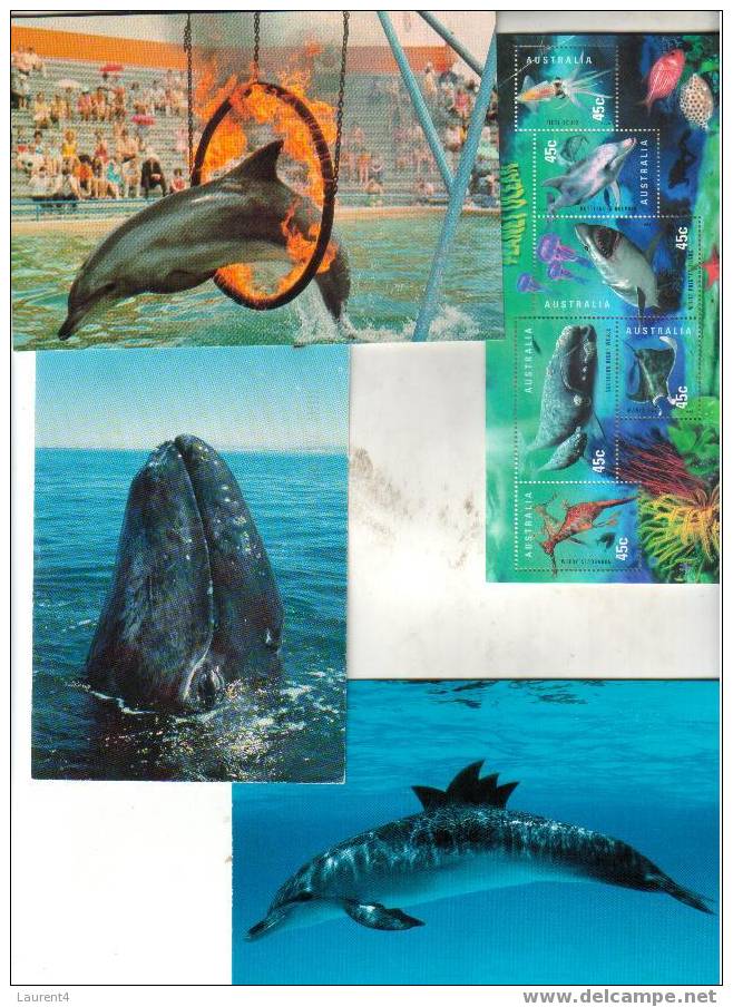 Dauphin - Carte Postale - Feuillet Miniature - Dolfijnen