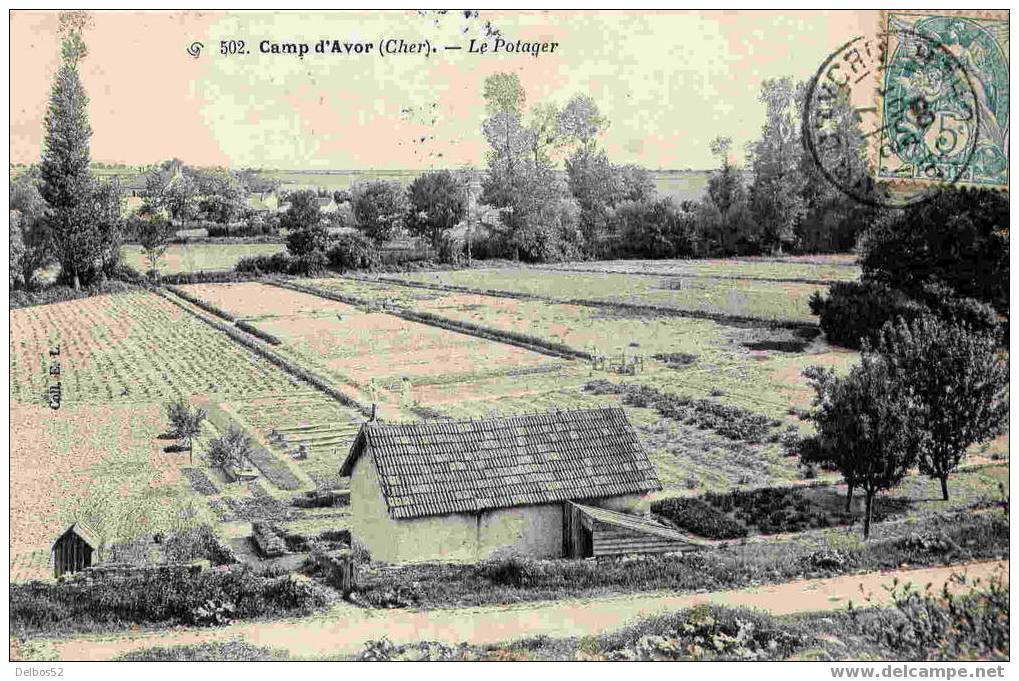 502. Camp D'Avord - Le Potager - Avord