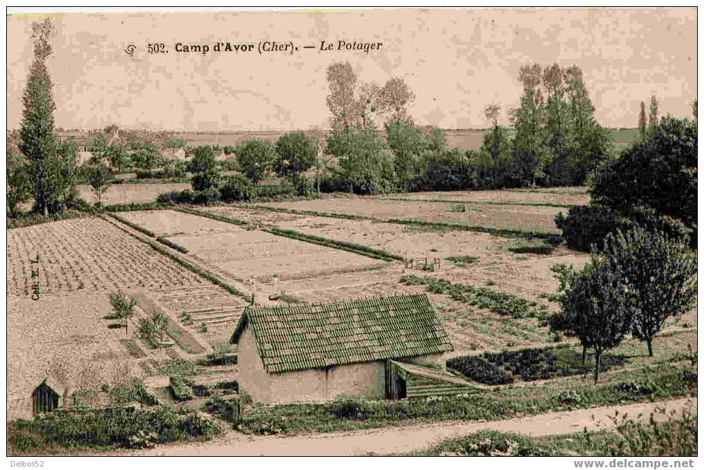 502. Camp D´Avord - Le Potager - Avord