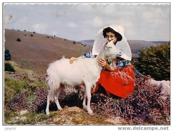 Le Limousin Pittoresque - 19/118 Les Monedières, Au Dos Paroles De La Chanson - Femme En Costume Et Chèvre - Autres & Non Classés