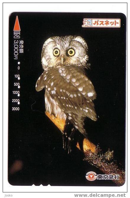 Birds Of Pray - Oiseaux - Bird - Oiseau - Owl - Eule - Hibou – Owls - Chouette - Eulen - Buho - Gufo - Japan  # 3 - Aigles & Rapaces Diurnes