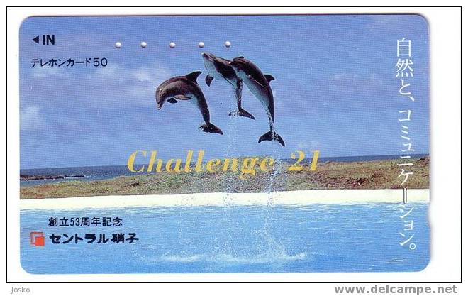 Japone Undersea - Dolphin - Delphin - Delfin - Dauphin - Delfino - Dauphine - Dauphins - Dolphins - Japan - Peces