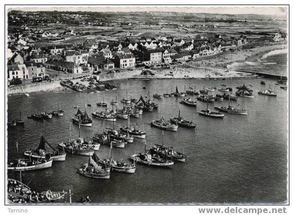 La Turballe. Le Port. Vue Aérienne. - La Turballe