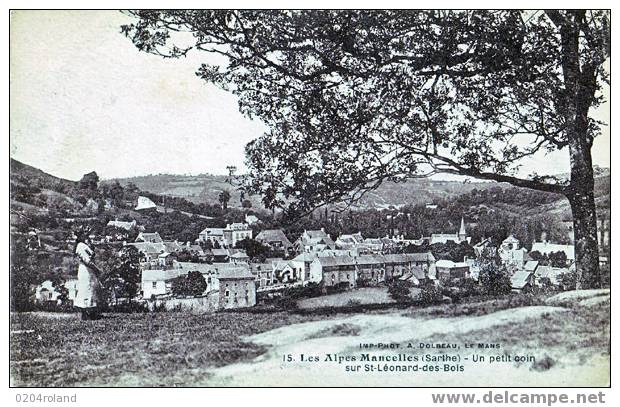 St Léonard Des Bois - Un Petit Coin - Saint Leonard Des Bois