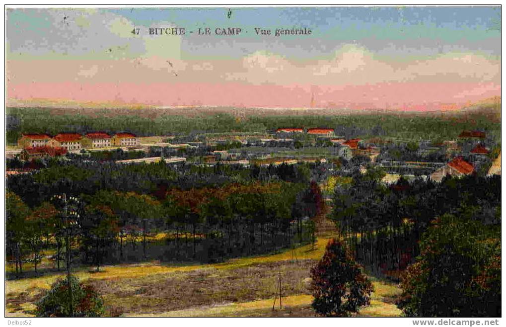 47.- Bitche - Le Camp - Vue Générale - Bitche