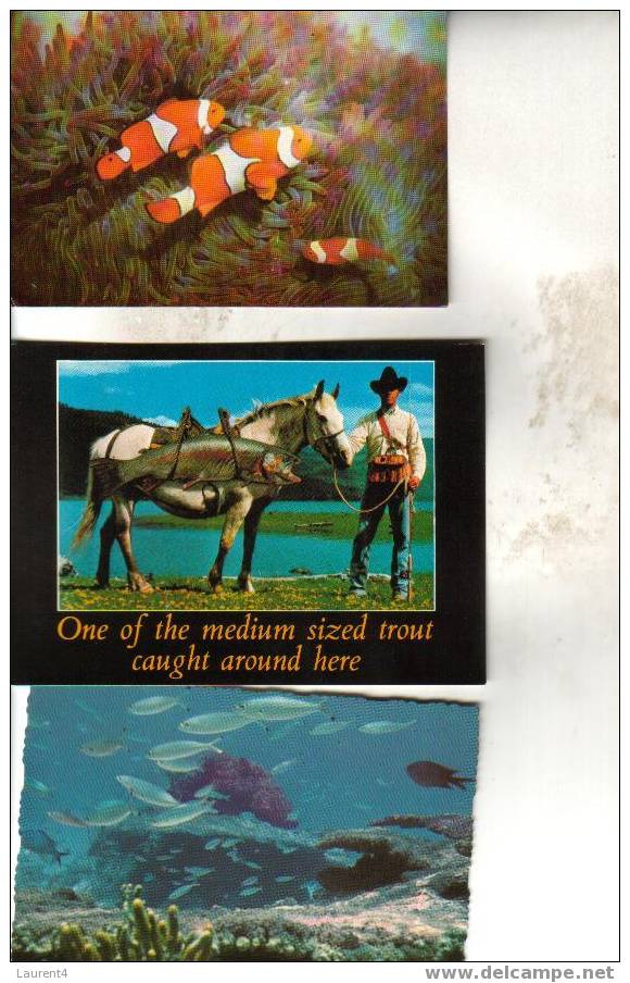 3 X Fish - Fishing Card -3 Carte Poisson - Peche - Fische Und Schaltiere