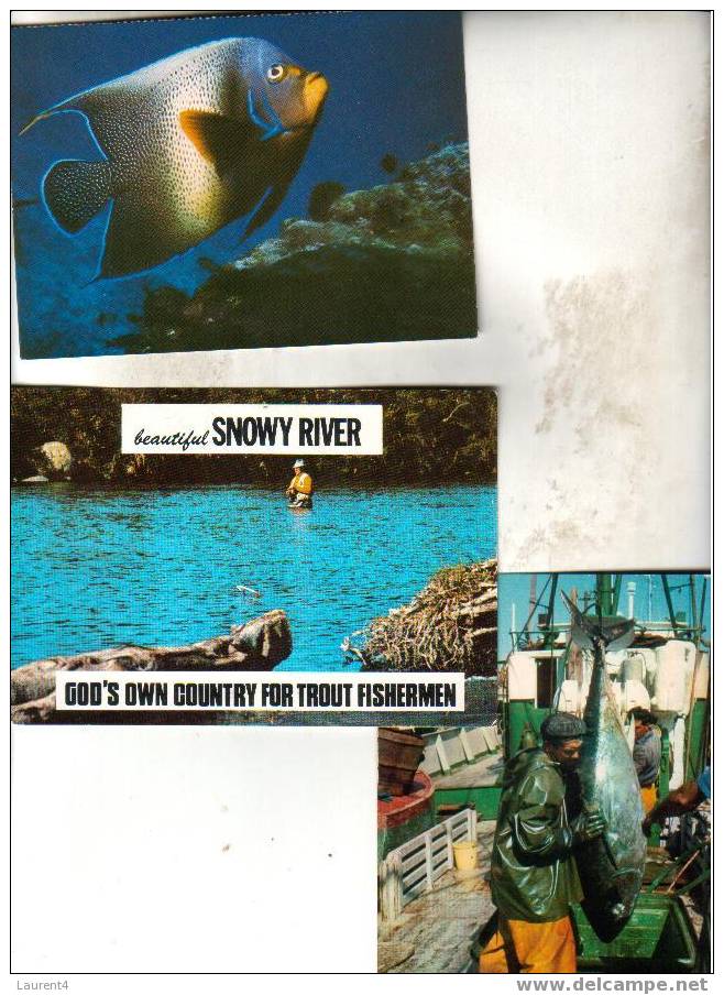 3 X Fish - Fishing Card -3 Carte Poisson - Peche - Poissons Et Crustacés