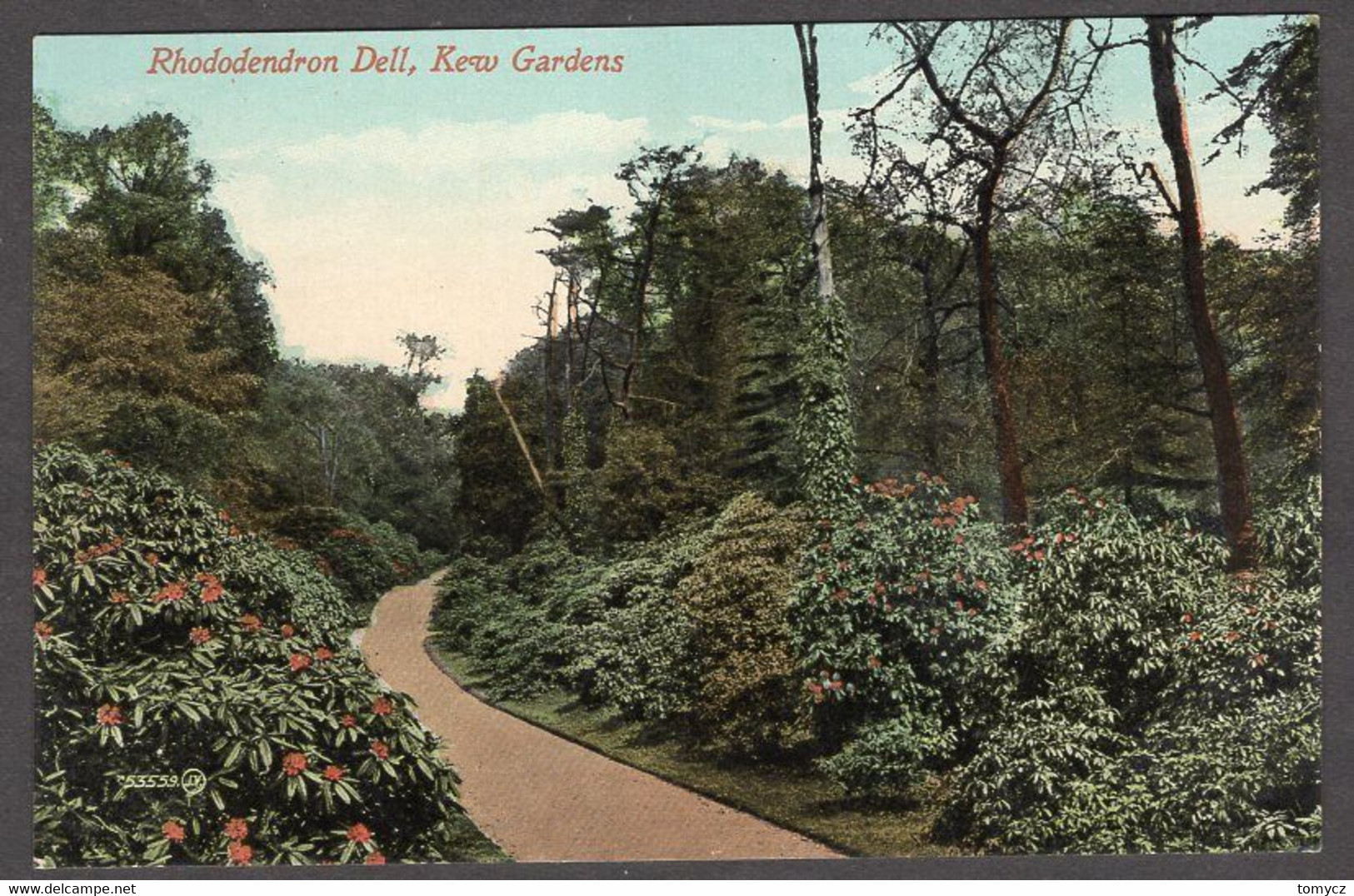 Postcard Kew Gardens 191? - London Suburbs