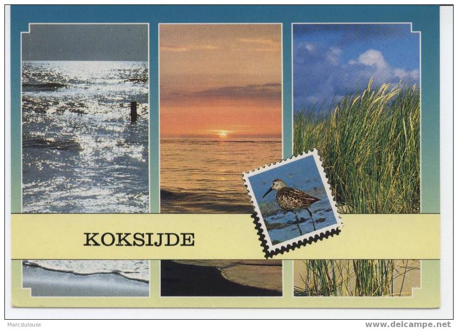 Koksijde. Coxyde. 5 Zichten: Postzegel Met Sneppe, Schemering Op Zee, Duinen. Timbre Avec Bécasse, Crépuscule, Dunes. - Koksijde