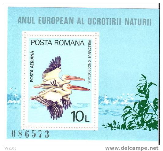 ROMANIA,WWF, Mint Stamps BLOCK With Bird PELECANUS 1980,MHN,OG. - Pélicans