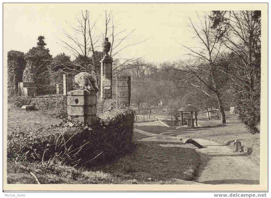 Mariemont - Rampe D'accès à La Cour D'honneur De L'ancien Château - Ed Nels - TBE - Morlanwelz