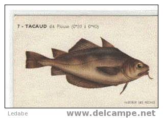 EH356-TACAUD Dit Plouse, CPA N° 7, Institut Des Pêches - Poissons Et Crustacés