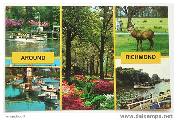 D 2276 - Around Richmond (upon Thames) - Color MBk, Nicht Gelaufen - River Thames