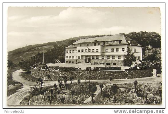 D 2297 - Rüdesheim Am Rhein. Jugendherberge - S/w Foto Ak - Rheingau