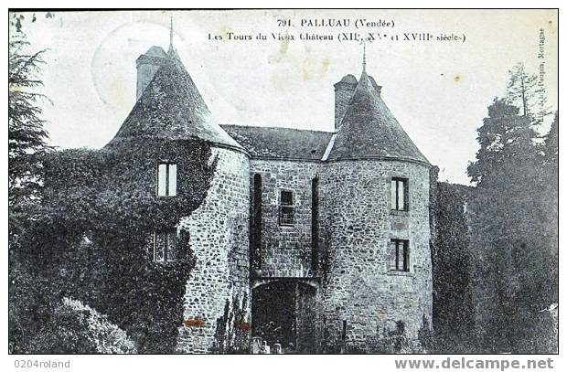 Palluau - Les Topurs Du Vieux Château - Aizenay