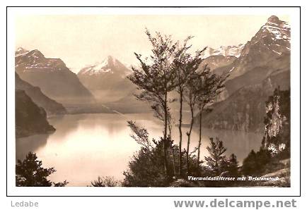 7009-Vierwaldstättersee Mit Bristenstock - Wald