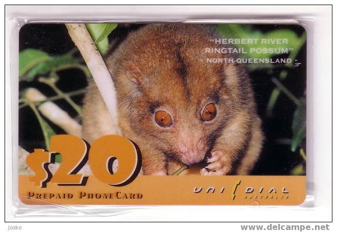 Herbert River Ringtail Possum - Australia Unidial 20$ Old And Rare MINT CARD - Australië