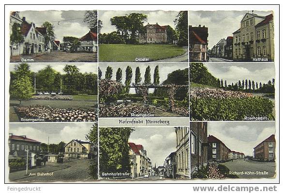 D 2316 - Rosenstadt Pinneberg - Kolorierte MBk, 1957 Gelaufen - Pinneberg