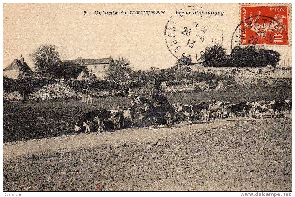 37 METTRAY (envs Luynes) Colonie, Ferme D´Avantigny, Animée, Troupeau De Vaches, Ed IPM 5, 1913 - Luynes
