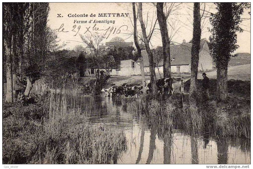 37 METTRAY (envs Luynes) Colonie, Ferme D´Avantigny, Animée, Troupeau De Vaches à L´Abreuvoir, Ed IPM X, 1916 - Luynes