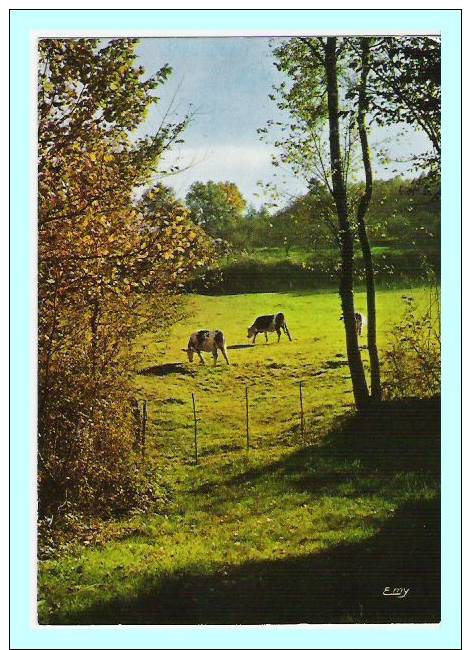 A 51  Normandie Paysage D'automne - Basse-Normandie