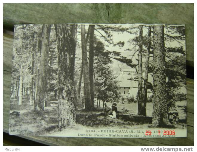 PEIRA CAVA (ALT 1500 M) - DANS LA FORET - STATION ESTIVALE - ENVIRONS DE NICE - 1927 - Lucéram