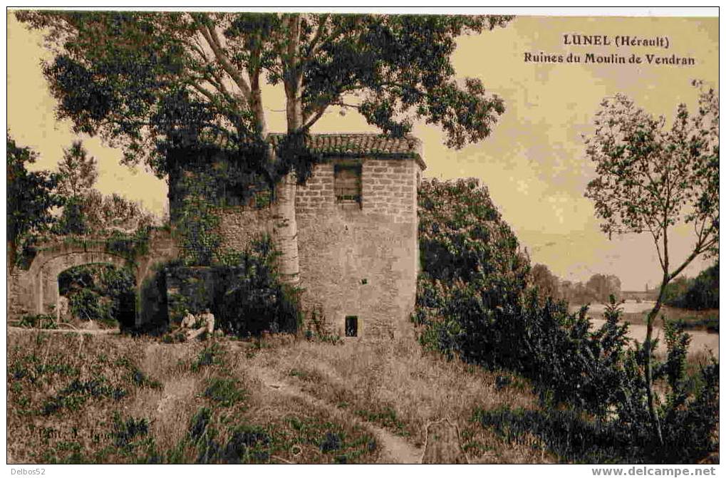 Lunel - Ruines Du Moulin De Vendran - Lunel