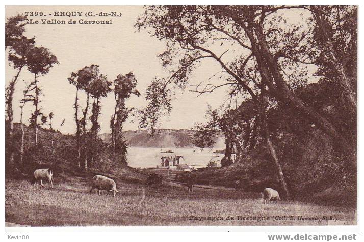 22 ERQUY Le Vallon De Carroual Jolie Cpa Animée ( Vaches , Moutons ) - Erquy