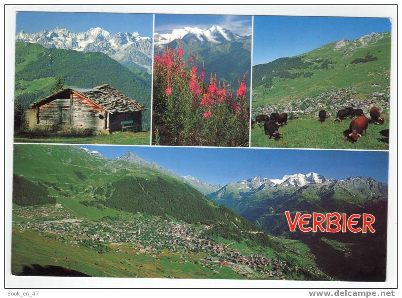 {29072} Suisse Verbier , Massif Du Trient , Pierre à Voir , Station , Grand Combin - Trient