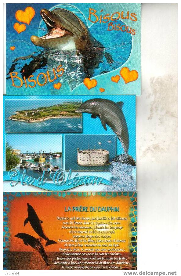 3 X Dolphin Postcard - 3 Carte De Dauphin - Dolfijnen