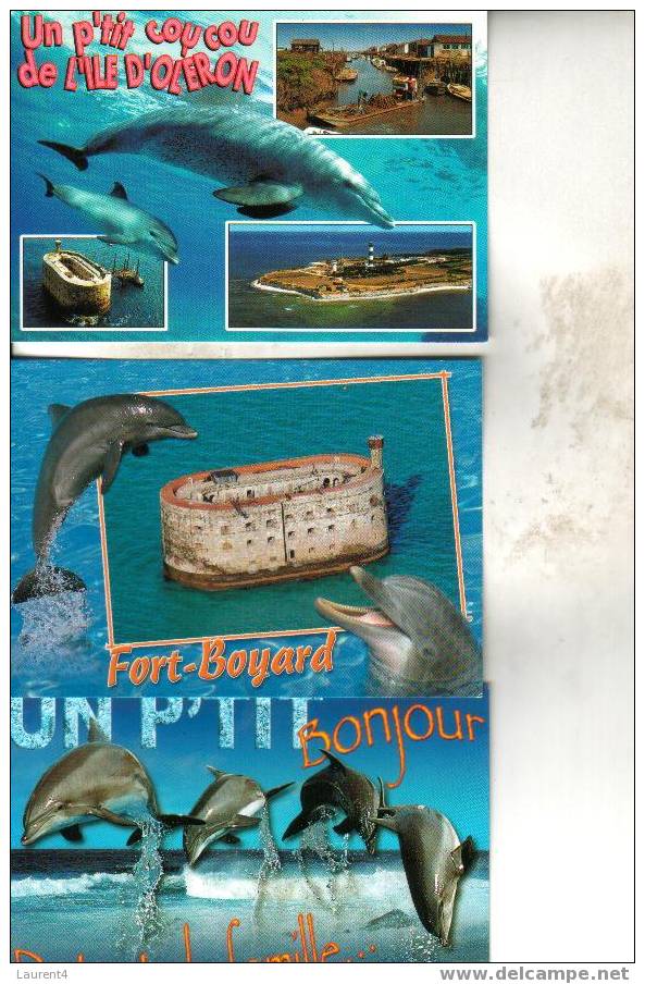 3 X Dolphin Postcard - 3 Carte De Dauphin - Dolphins