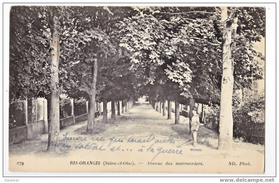 CPA---91-----Ris Orangis ----AVENUE Des MARRONNIERS - Ris Orangis