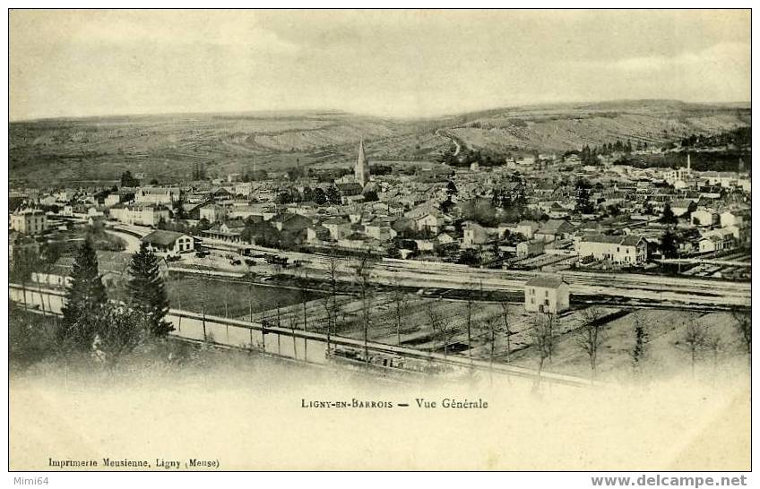 D.55. LIGNY -en- BARROIS - Vue Générale Le Canal  Peniche - Ligny En Barrois