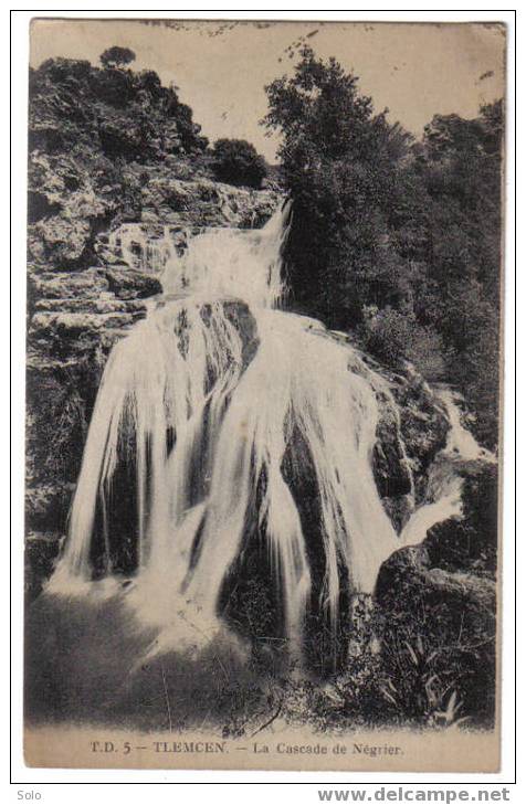 TLEMCEN - La Cascade De Négrier - Tlemcen