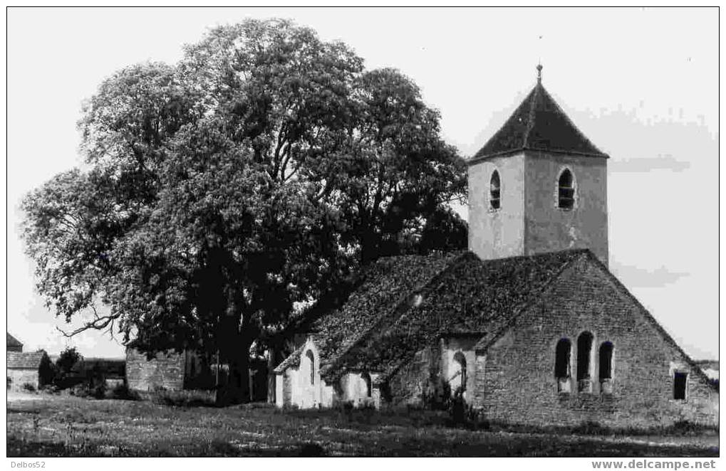 1577.- Ancy-le-Franc - L'Eglise De Chassignelle - Ancy Le Franc