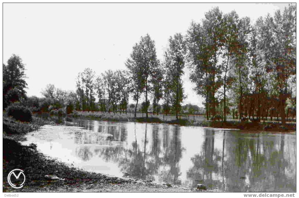 1580.- Ancy-le-Franc - Bords De L'Armançon - Ancy Le Franc