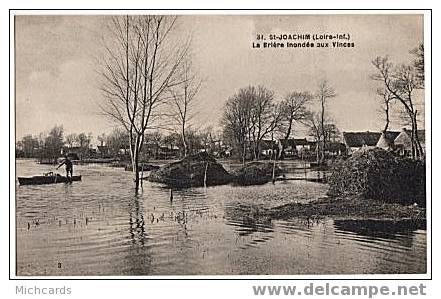 CPA 44 St JOACHIM - La Briere Inondée Aux Vinces - Saint-Joachim