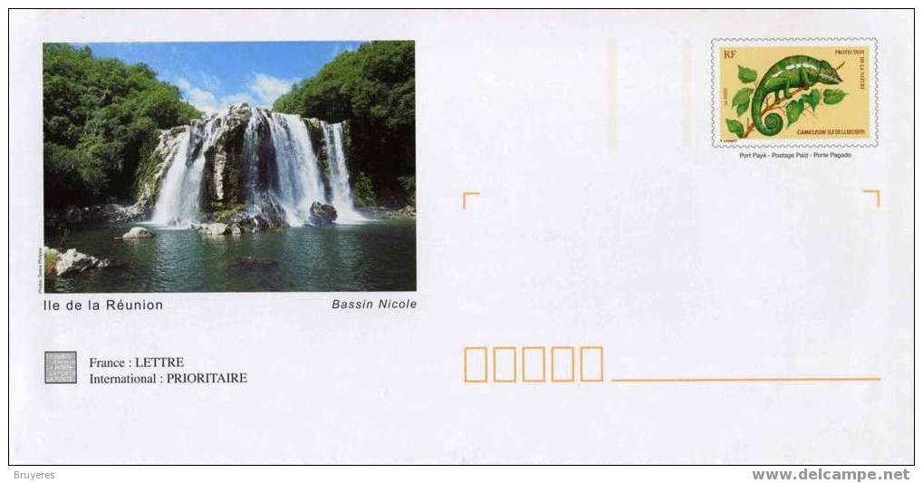 PAP Avec Timbre "Caméléon" Sur Papier Glacé Et Illustr. "Bassin Nicole" + Carte De Corresp. Assortie - Natur