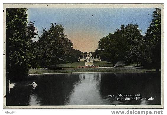 Montpellier - Le Jardin De L´Esplanade - Montpellier