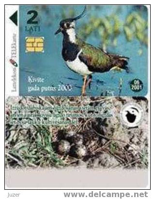 Latvia. 2000. Lapwing - Bird Of The Year 2000 - Lettland